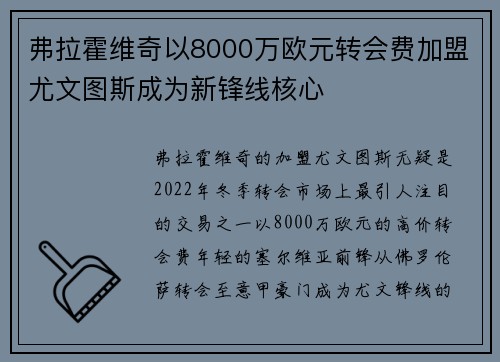 弗拉霍维奇以8000万欧元转会费加盟尤文图斯成为新锋线核心